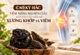 CAO KỲ HẮC – TIỀM NĂNG NGHIÊN CỨU ĐỐI VỚI CÁC VẤN ĐỀ XƯƠNG KHỚP VÀ VIÊM