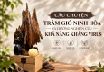 CÂU CHUYỆN TRẦM GIÓ NINH HÒA VÀ HƯỚNG NGHIÊN CỨU KHẢ NĂNG KHÁNG VIRUS