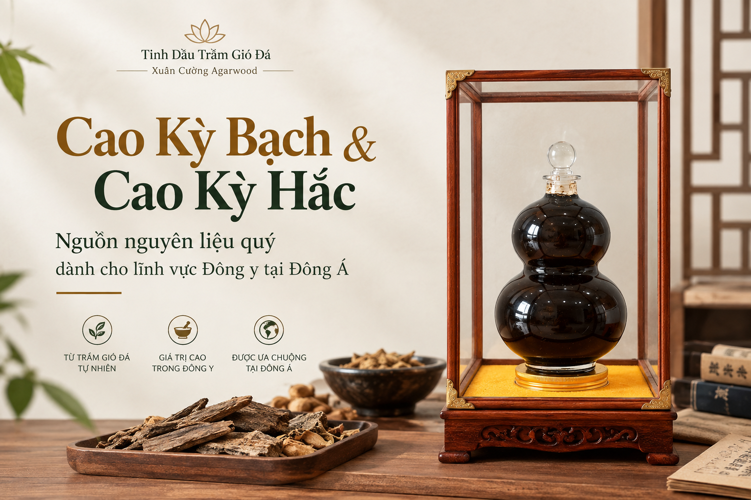 Cao Kỳ Bạch & Cao Kỳ Hắc - nguồn nguyên liệu quý dành cho lĩnh vực Đông y tại Đông Á
