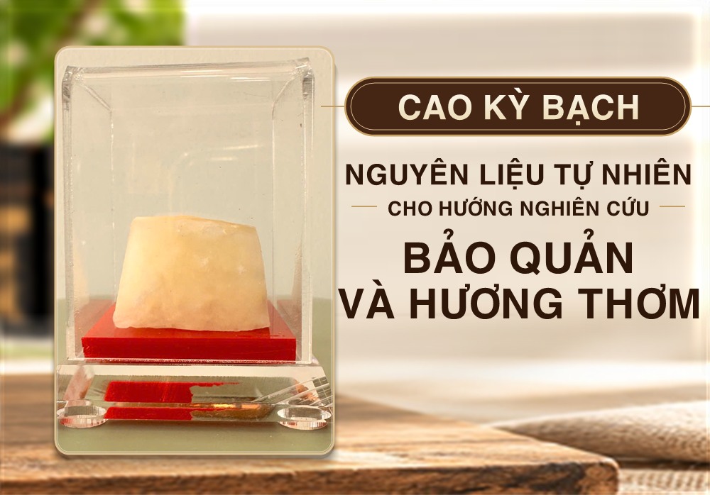 Cao Kỳ Bạch - nguyên liệu tự nhiên cho hướng nghiên cứu bảo quản và hương thơm