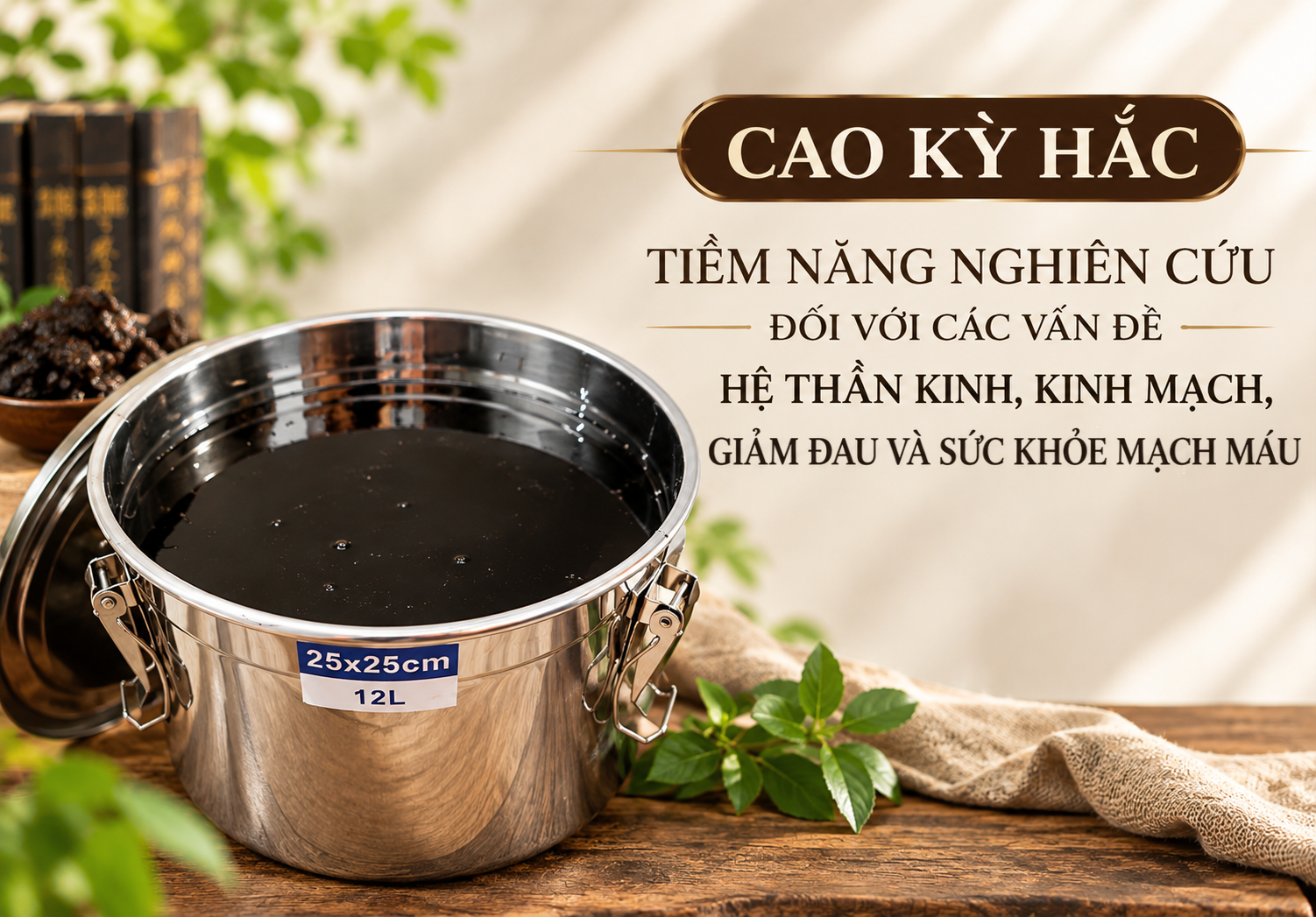 Cao Kỳ Hắc - tiềm năng nghiên cứu đối với hệ thần kinh, kinh mạch, giảm đau và sức khỏe mạch máu