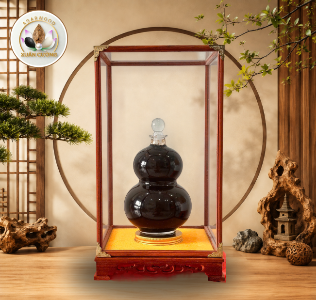 Cao Kỳ Hắc - Tinh dầu trầm gió đá